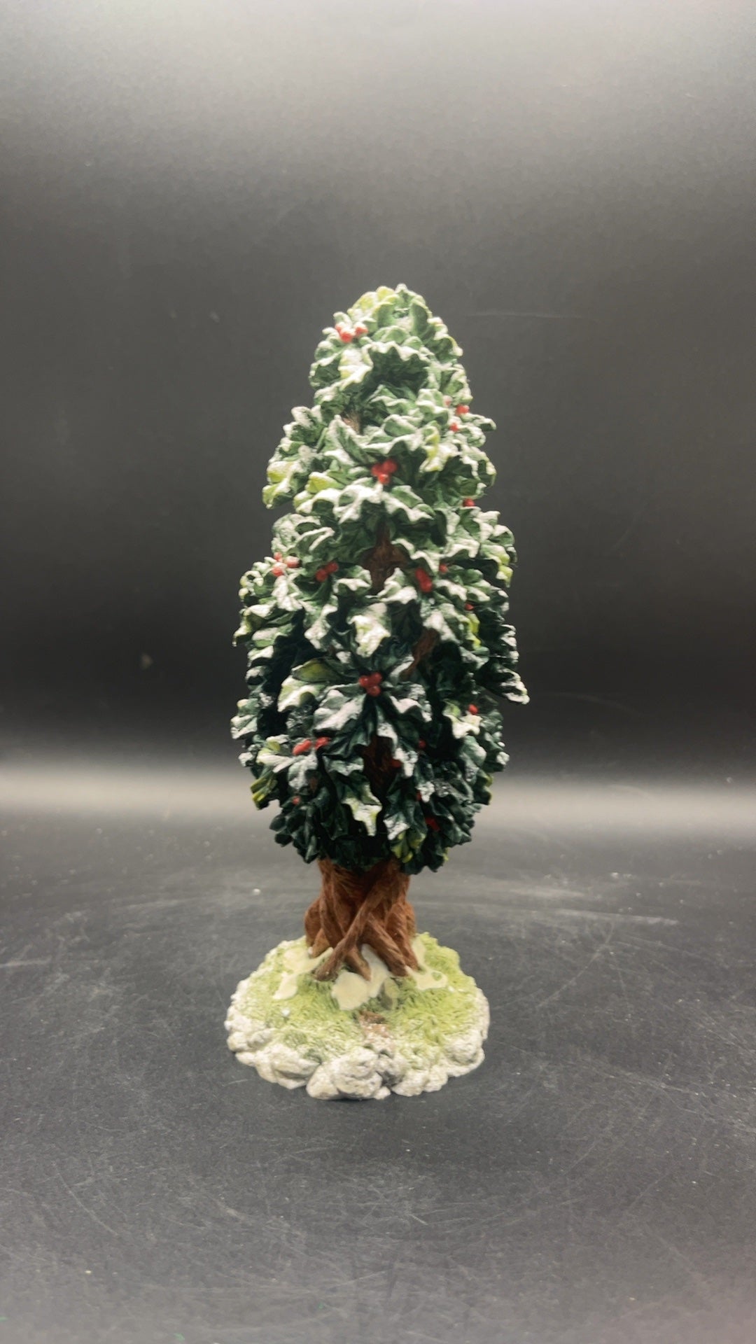 Holly Tree