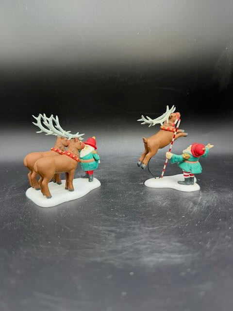 Reindeer Training Camp