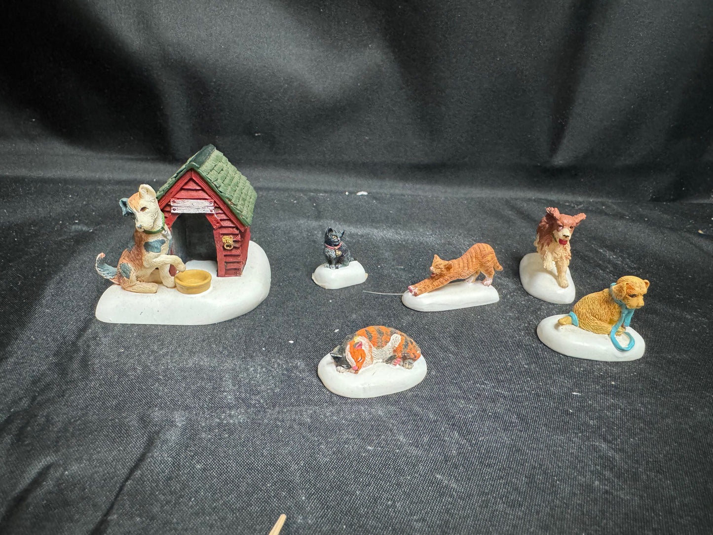 Village Cats And Dogs