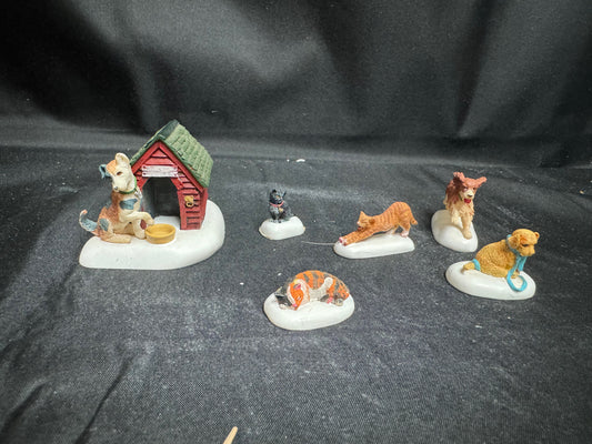 Village Cats And Dogs