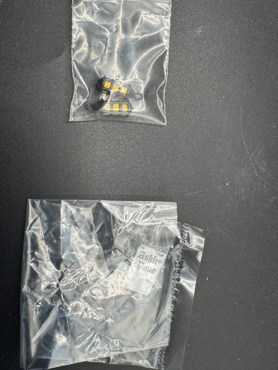 Ashley Pond Skating Party - Damaged Sleeve