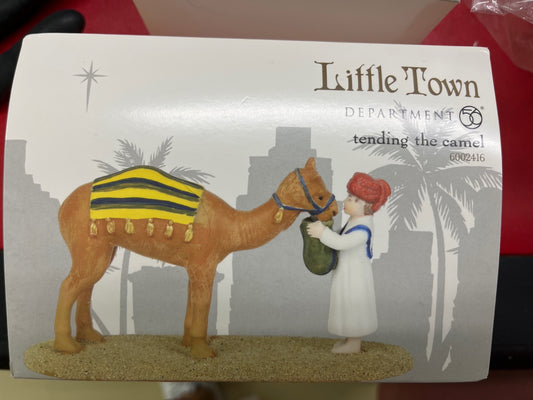 Tending The Camel