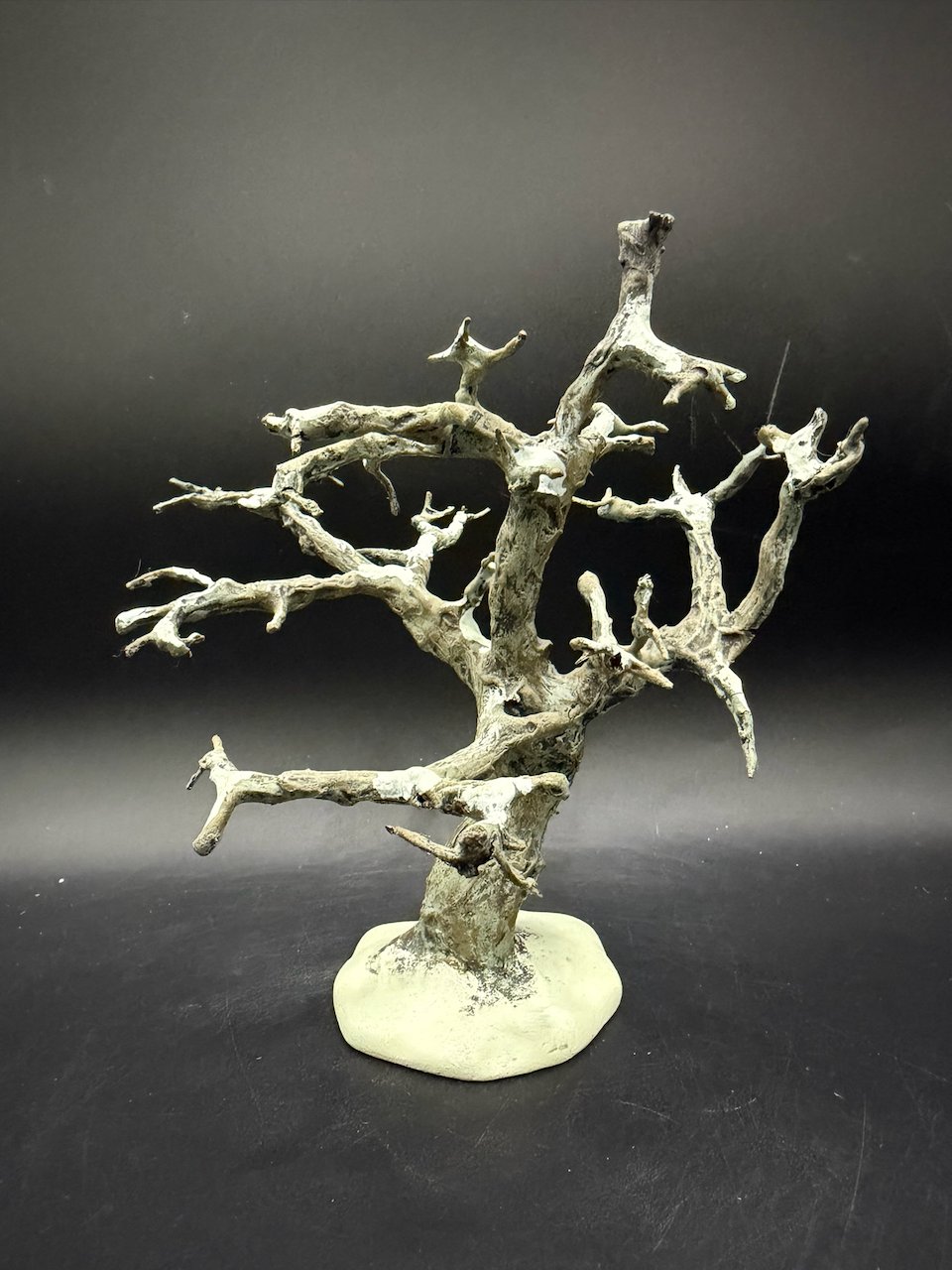Craggy Oak Tree
