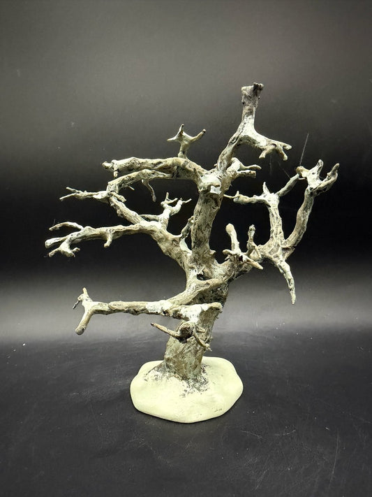 Craggy Oak Tree