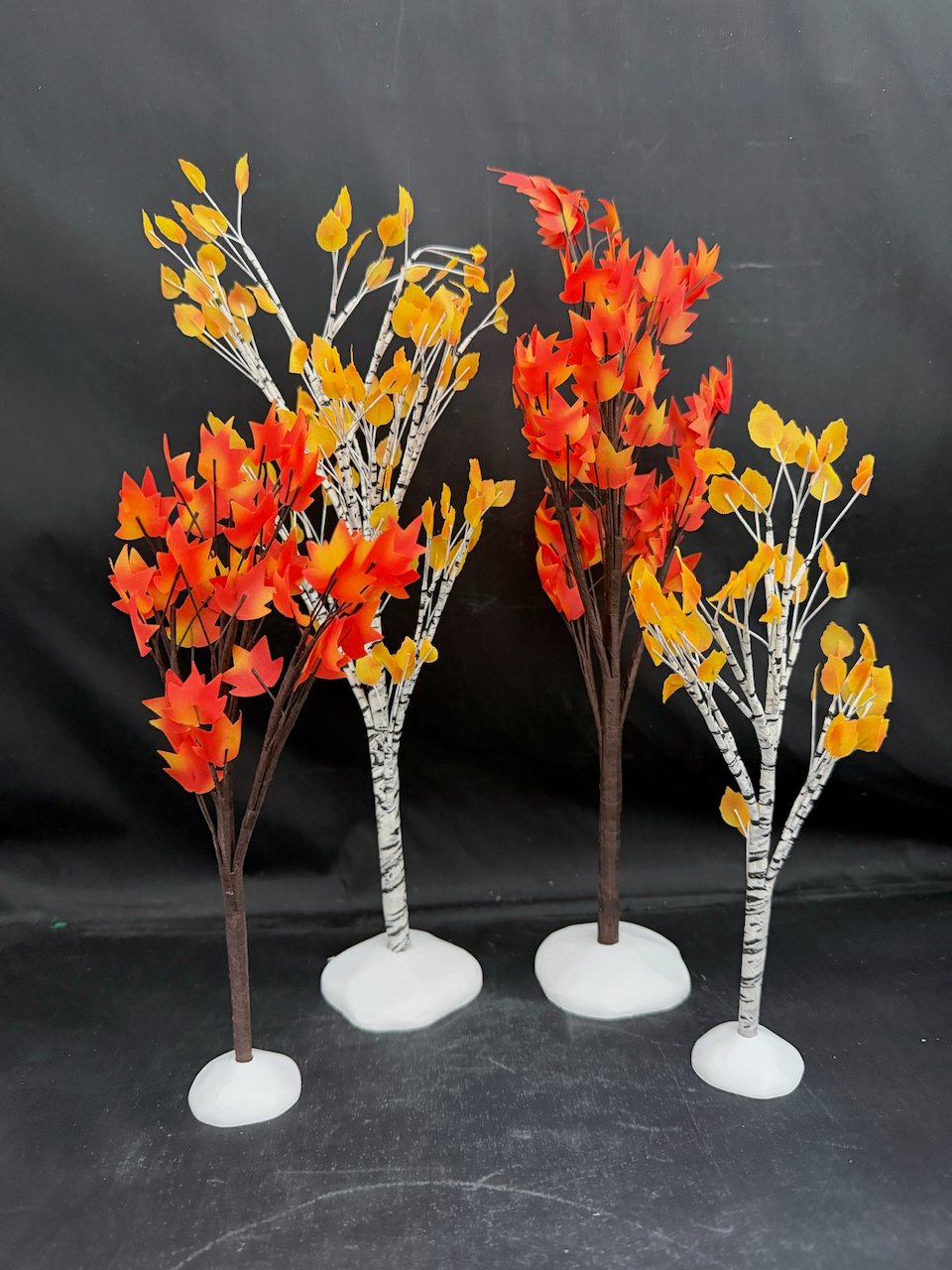 Autumn Maple And Birch Trees