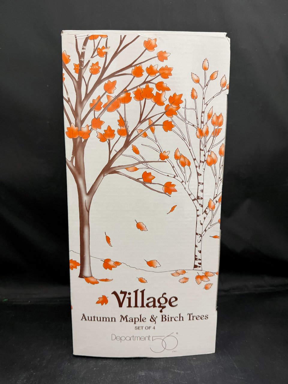 Autumn Maple And Birch Trees