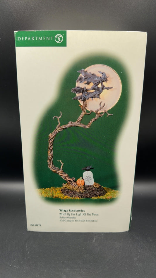 Witch By The Light Of The Moon