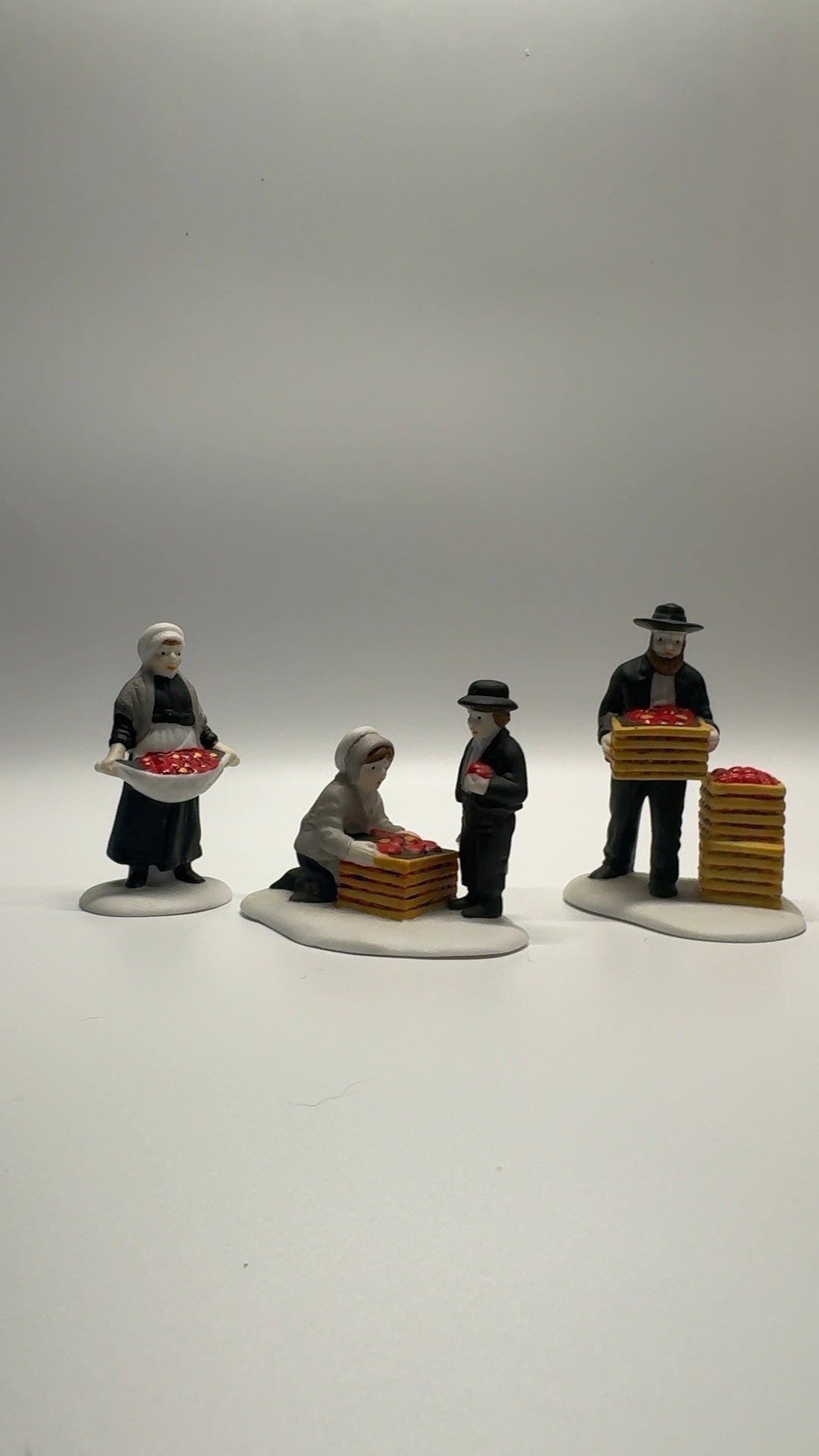 Amish Family