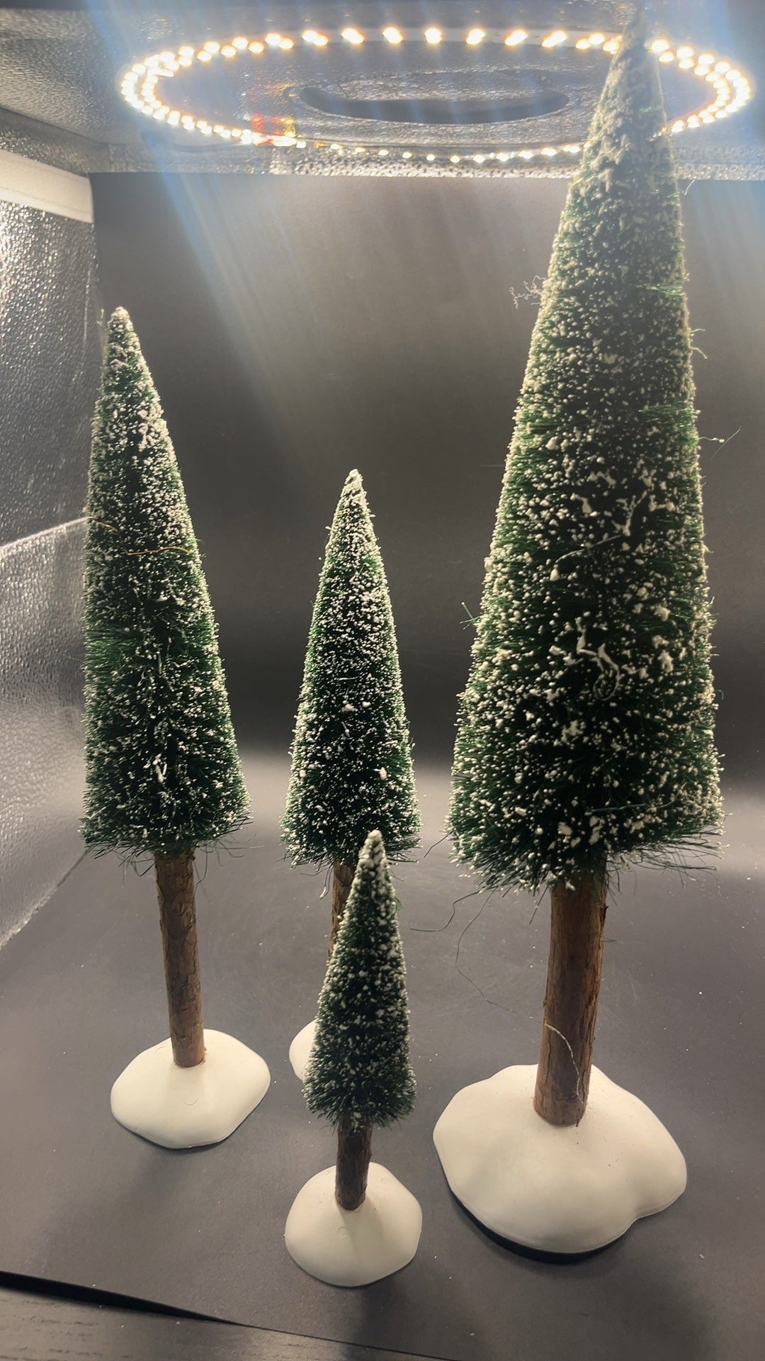 Frosted Fir Trees With Real Wood Trunks Set Of 4