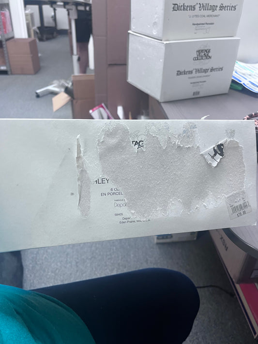 Ashley Pond Skating Party - Damaged Sleeve