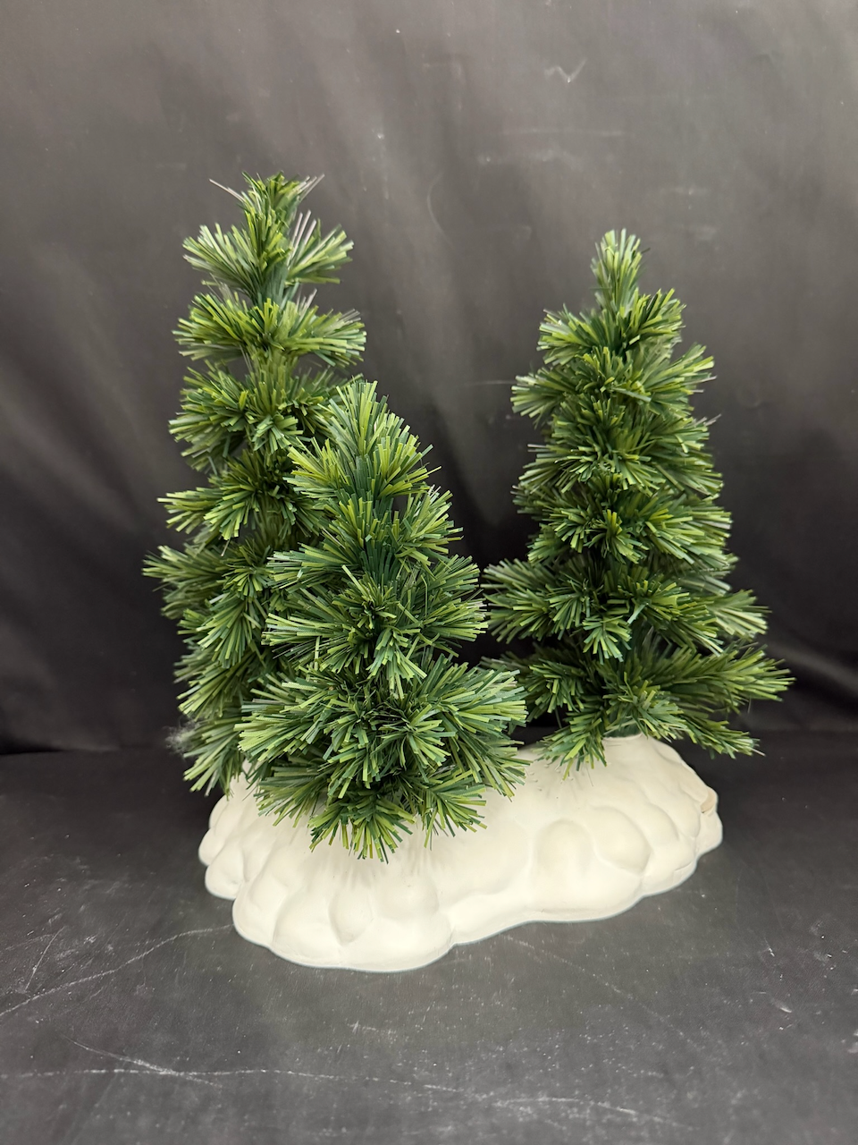 Musical Shimmering Spruce - Read Description