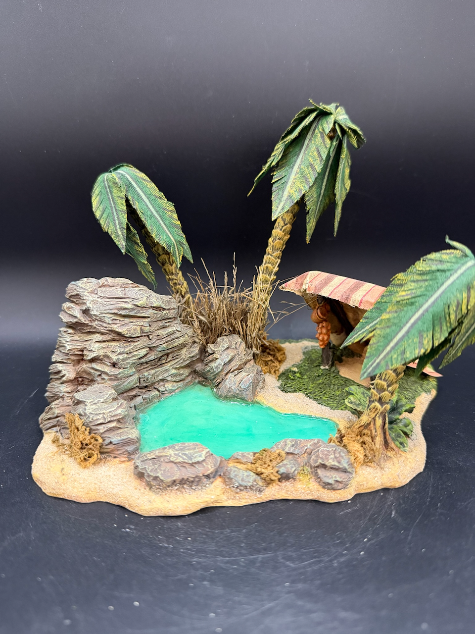 Desert Oasis