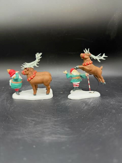 Reindeer Training Camp
