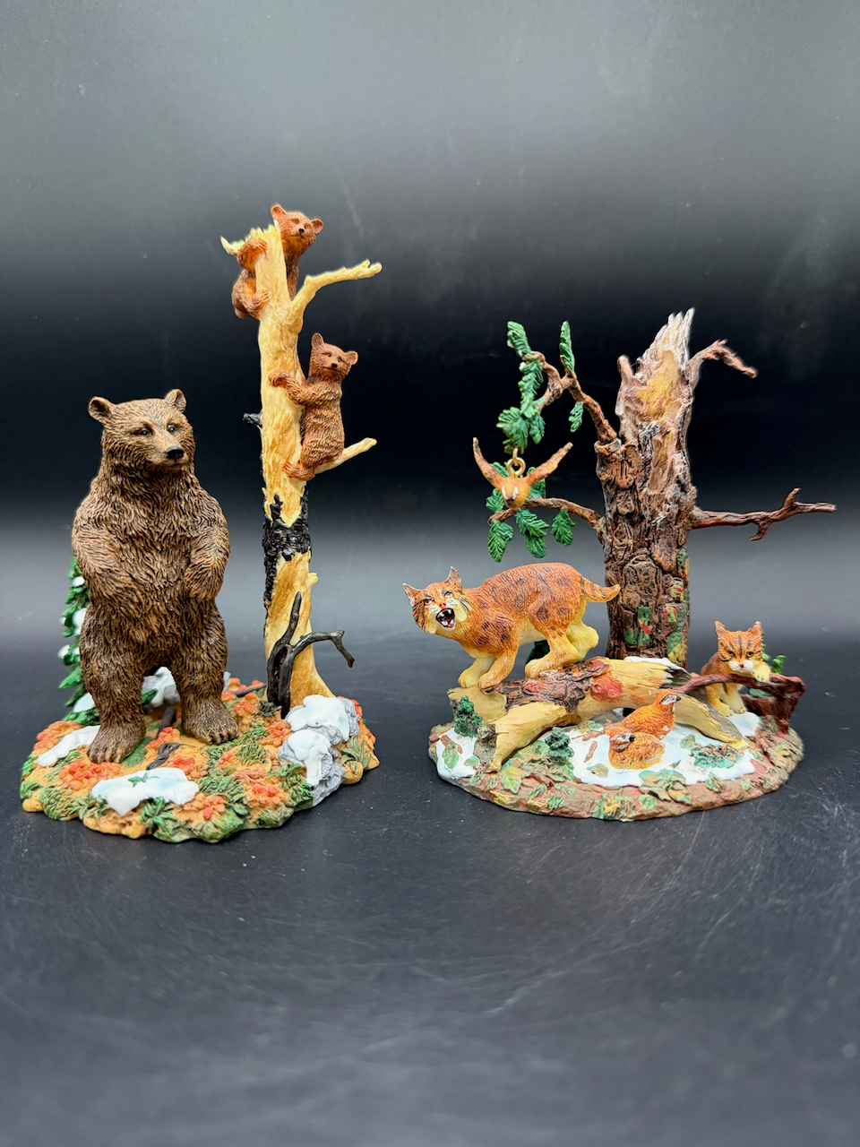 Rocky Mountain Wildlife Bears and Bobcat