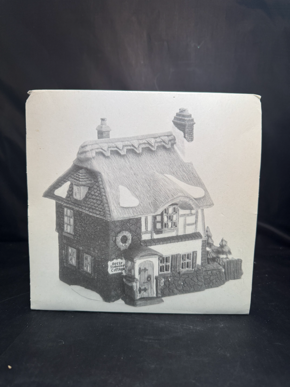 David Copperfield “Betsy Trotwood’s Cottage"