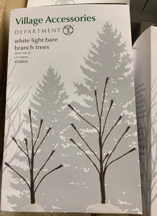White Light Bare Branch Trees